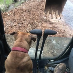 Meet your Posher, Bubba